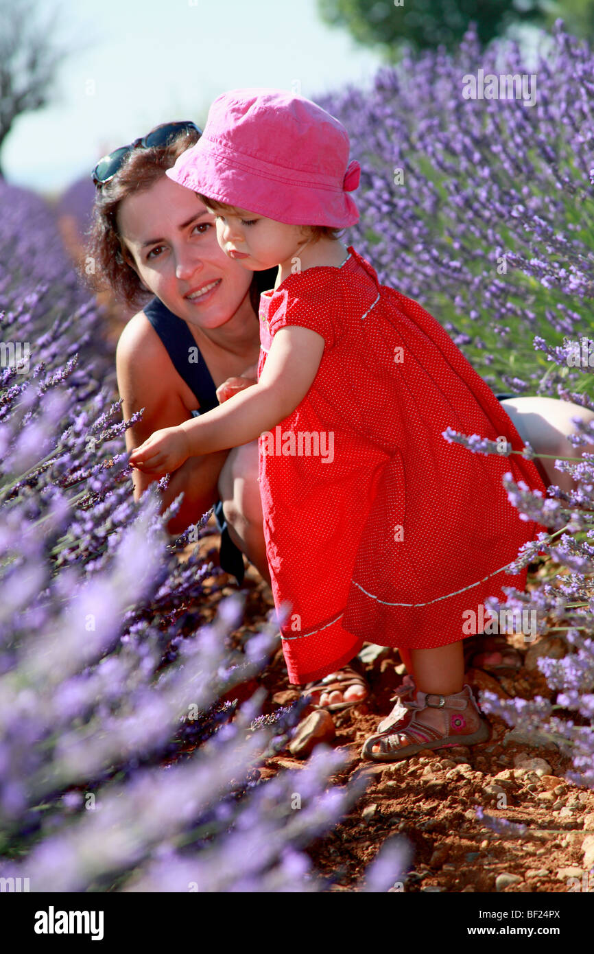 Faustine 19 months old with her mum in a southern France lavender field Stock Photo