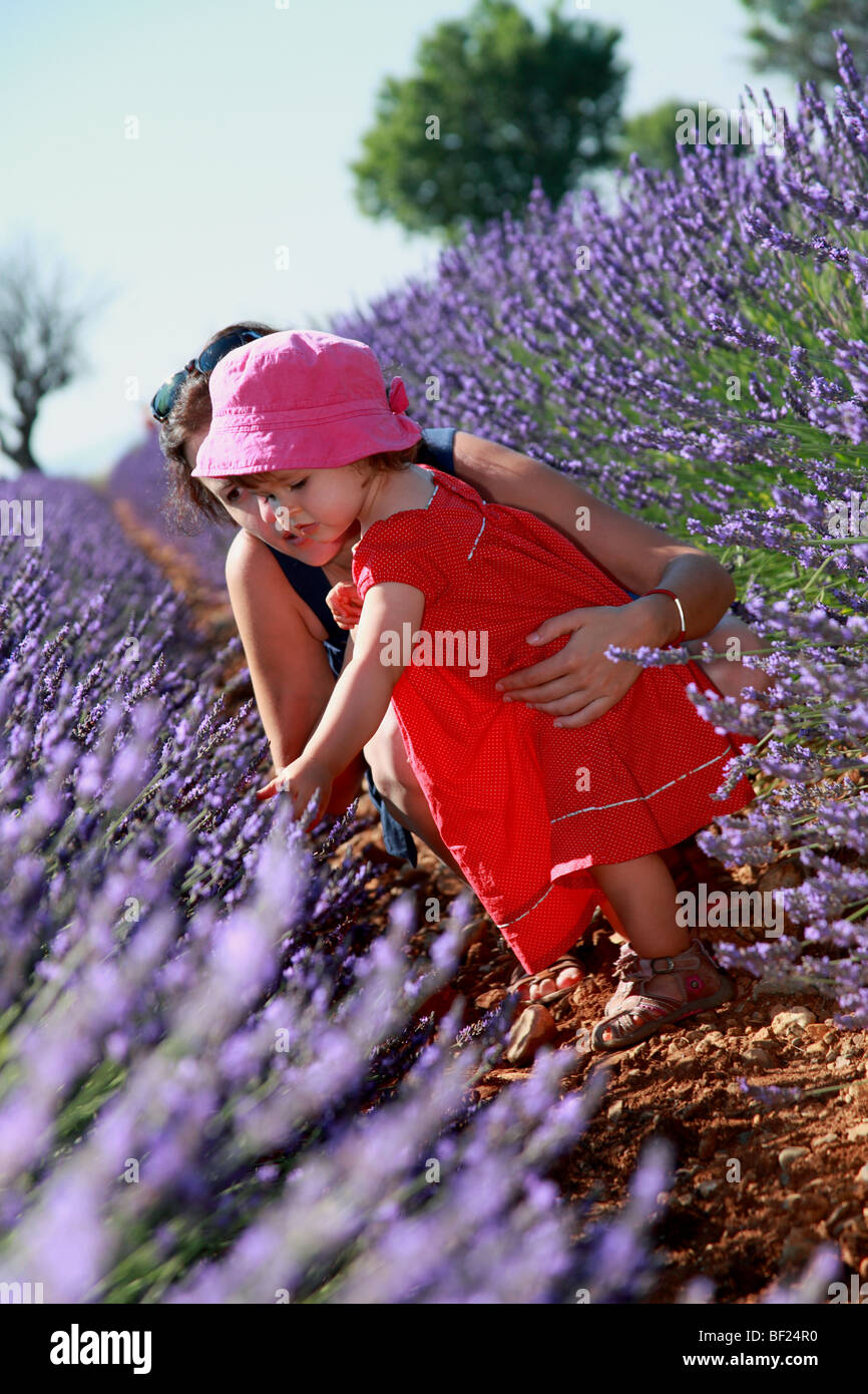 Faustine 19 months old in a southern France lavender field Stock Photo