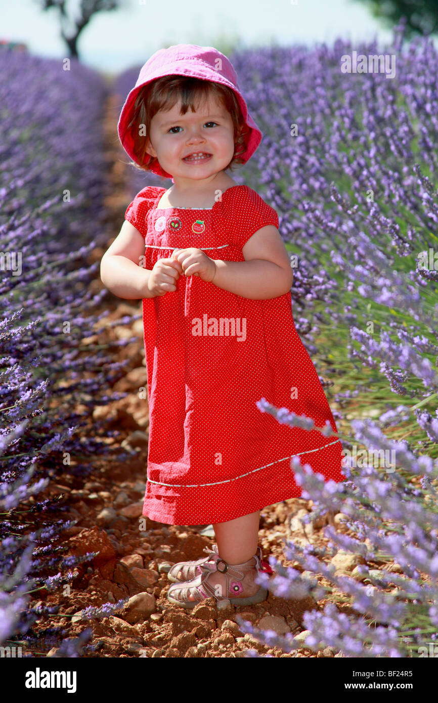 Faustine 19 months old in a southern France lavender field Stock Photo