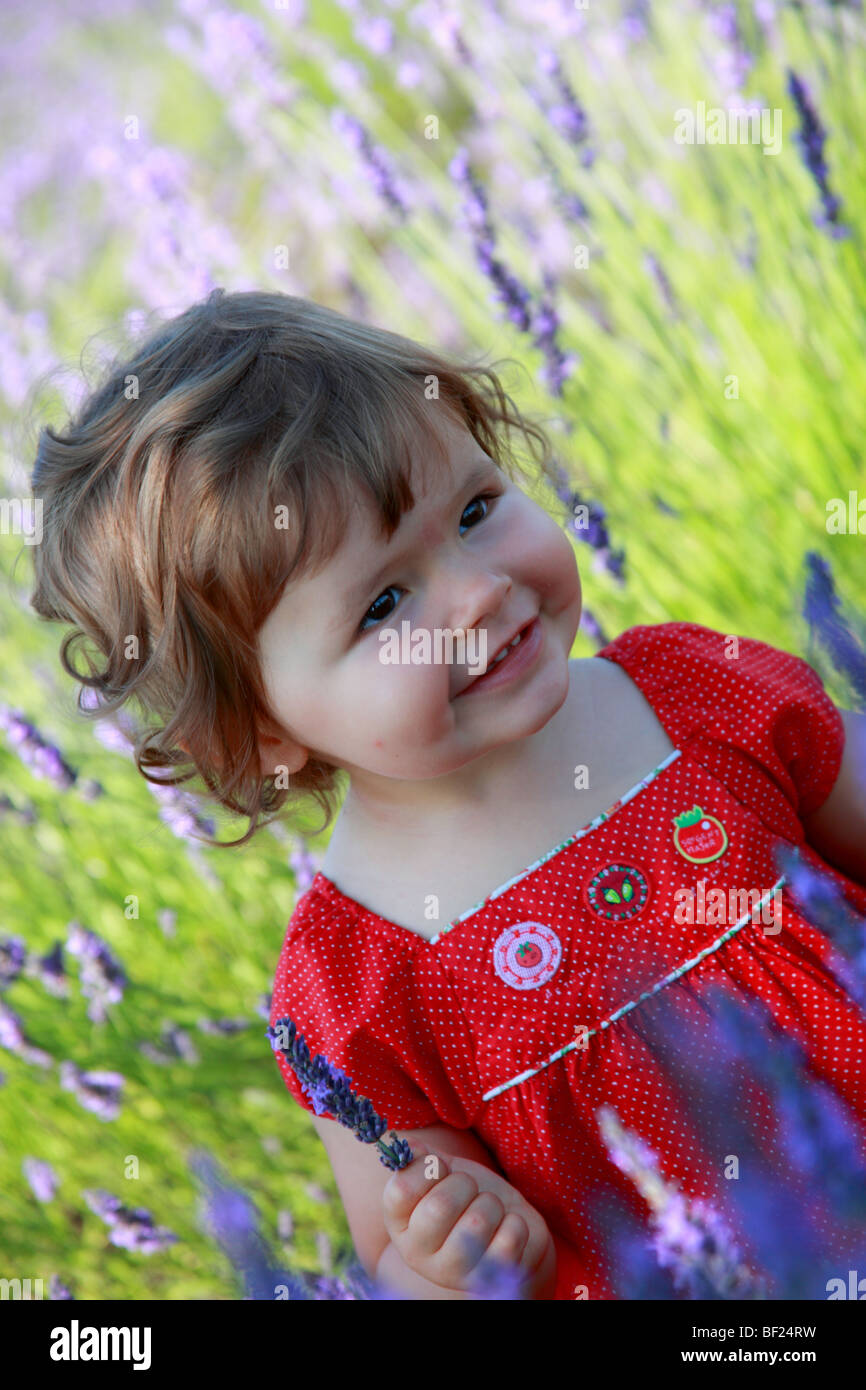 Faustine 19 months old in a southern France lavender field Stock Photo