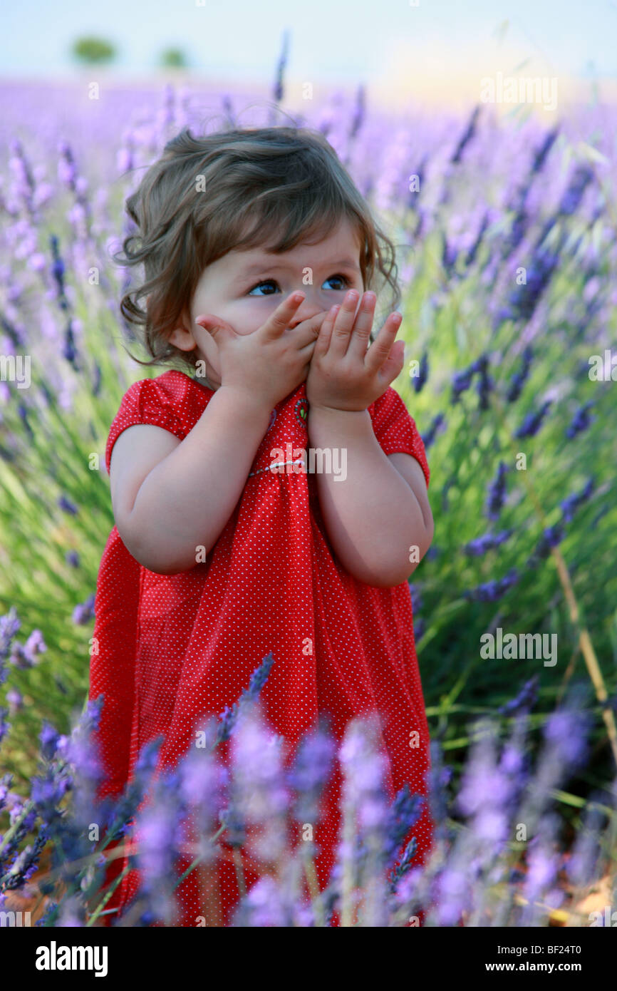 Faustine 19 months old in a southern France lavender field Stock Photo