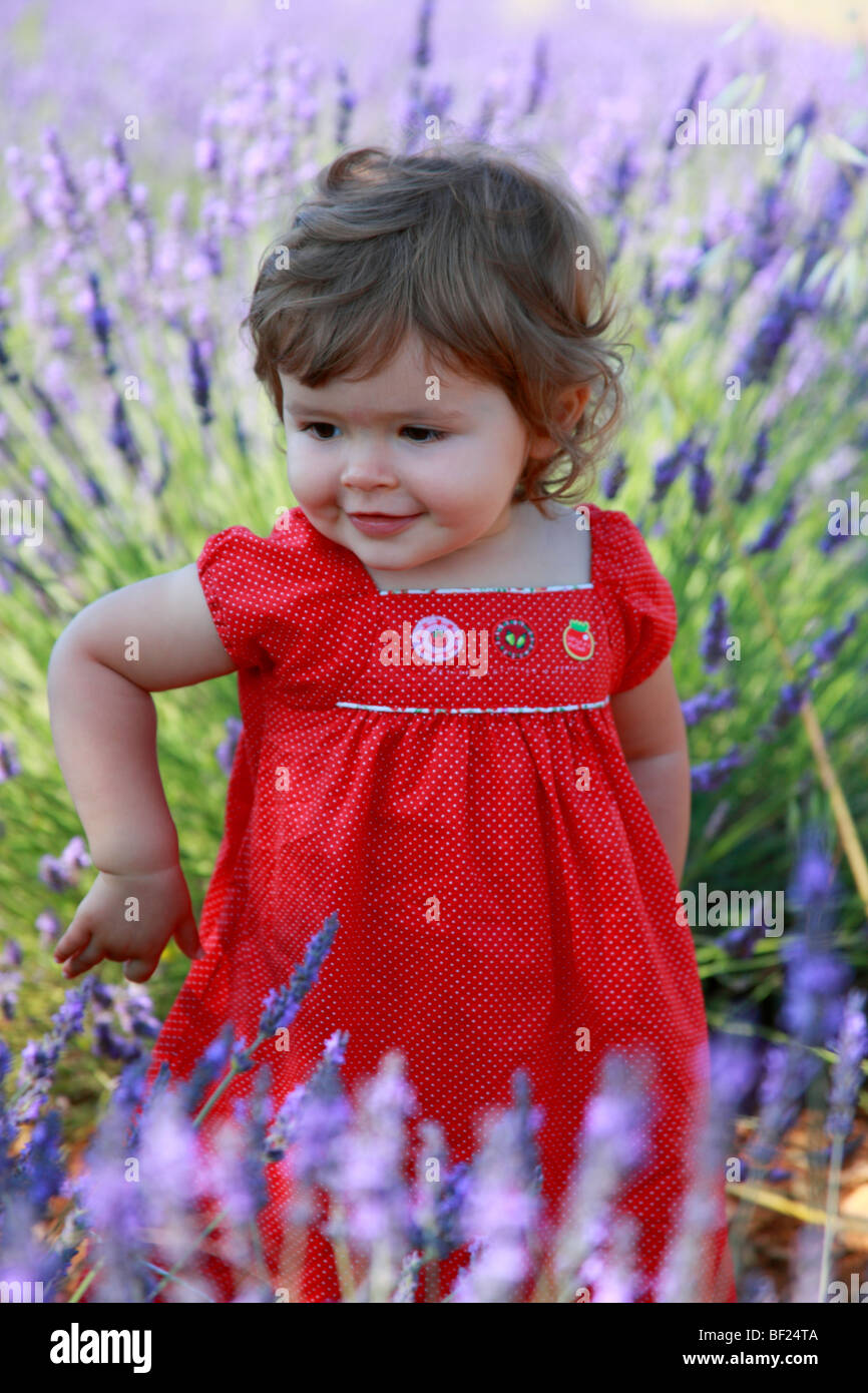 Faustine 19 months old in a southern France lavender field Stock Photo