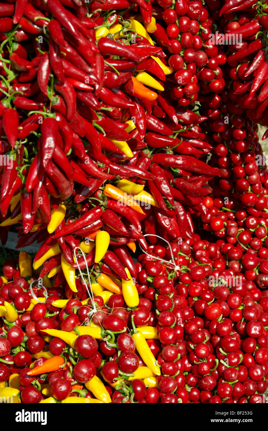 Air dried chilies hi-res stock photography and images - Alamy