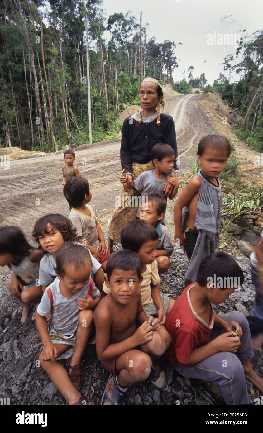 Dayaks children and woman blockading logging road protest. Tropical rainforest one of the world's richest, oldest eco-systems, Stock Photo