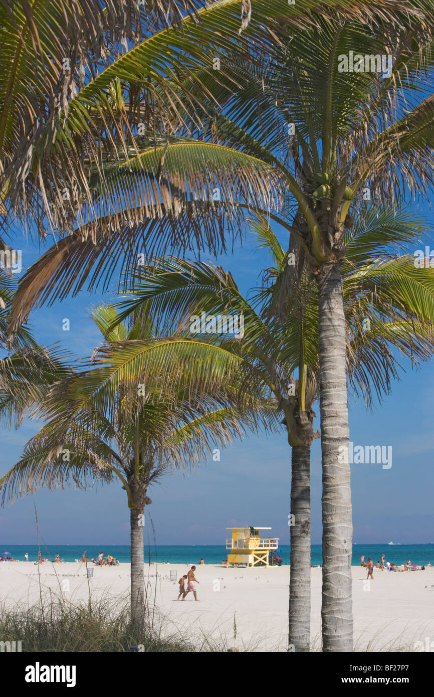 Palm trees and people at the beach at Boardwalk District, Miami Beach, Florida, USA Stock Photo