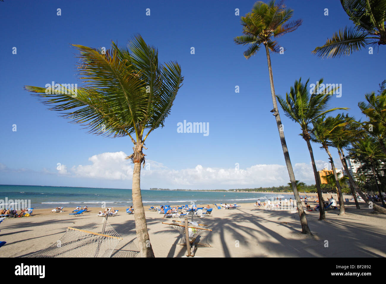 People and palm trees at the beach under blue sky, Isla Verde, Puerto Rico, Carribean, America Stock Photo