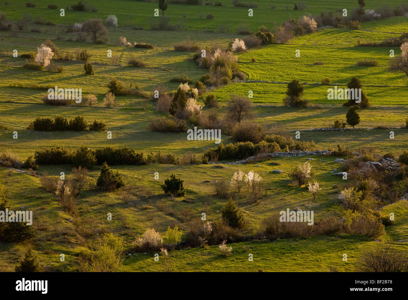 Olf field patterns and boundaries on a spring evening; at Cimikoy near Akseki, Taurus Mountains, south Turkey. Stock Photo