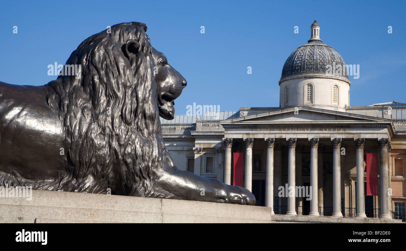 London - lion from Nelson memorial on Trafalgar square Stock Photo