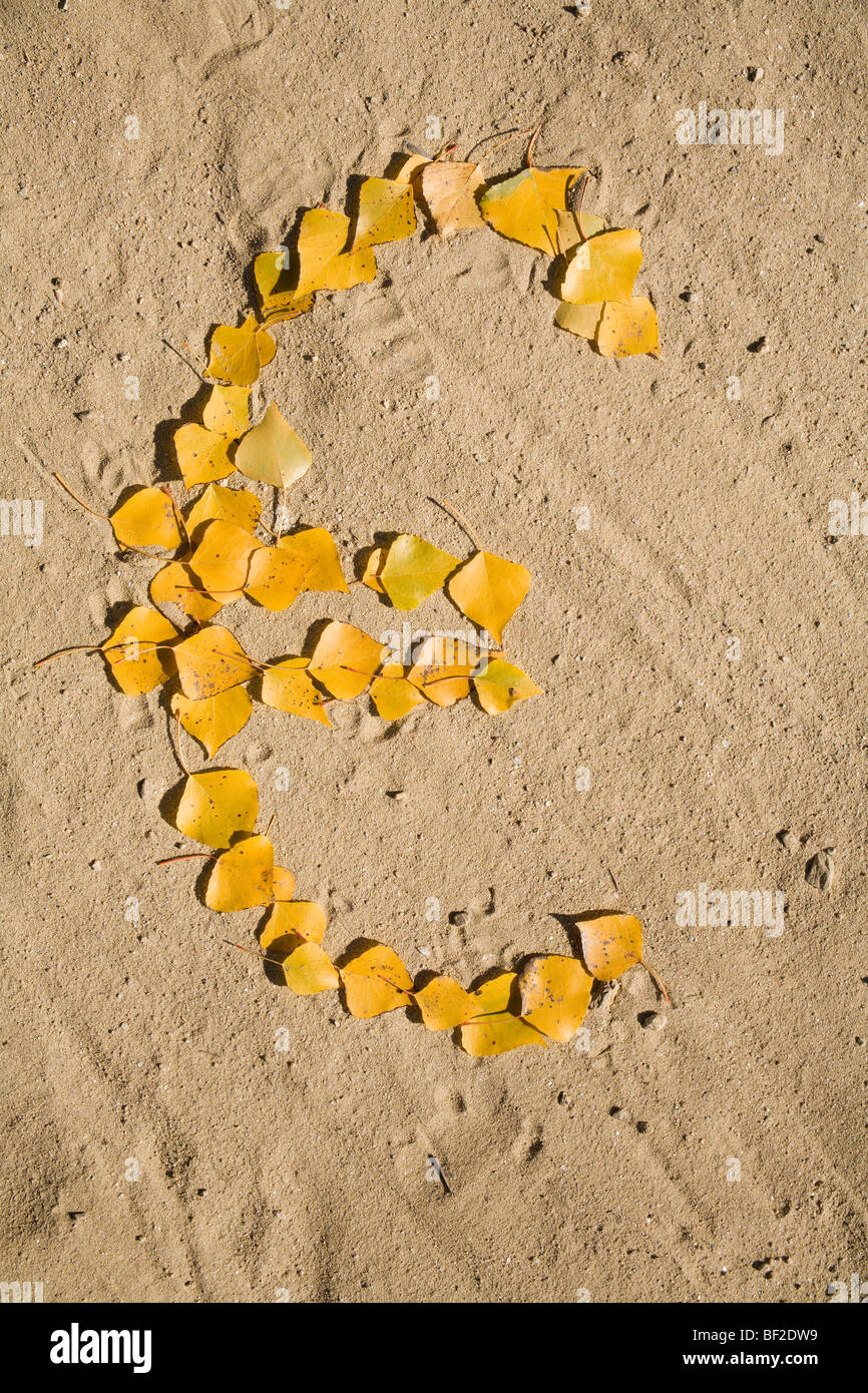 euro in the sand - leafs Stock Photo