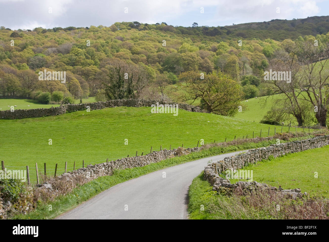 Country lane near Coniston, Lake District, England Stock Photo - Alamy