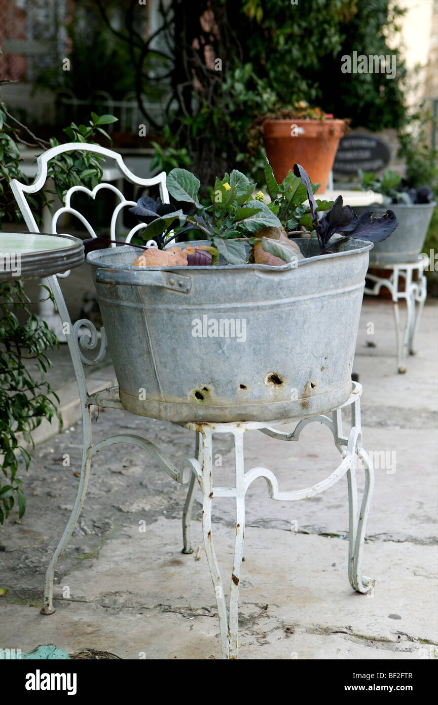 rural french vegetable gardening in old tin bath Stock Photo