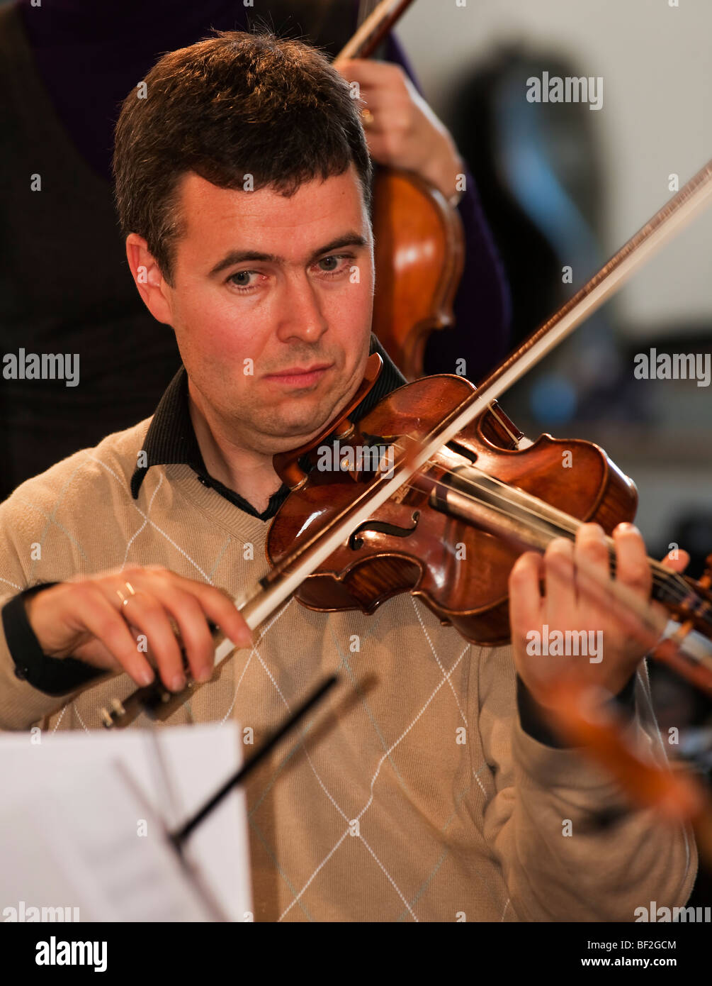 musician violinist string player violin Stock Photo Alamy