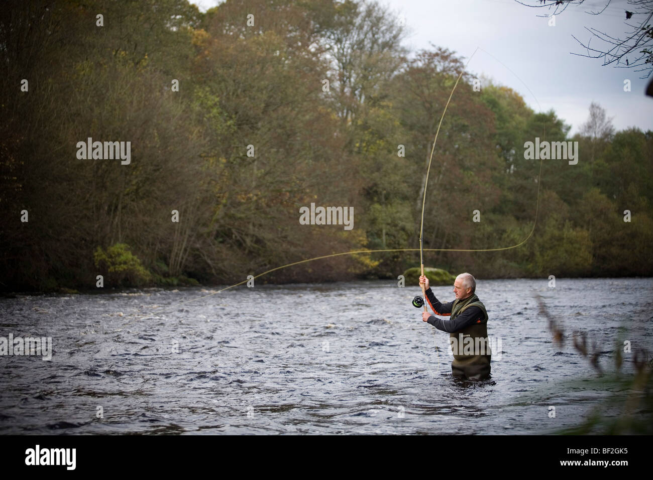 Salmon Fishing Uk High Resolution Stock Photography and Images Alamy