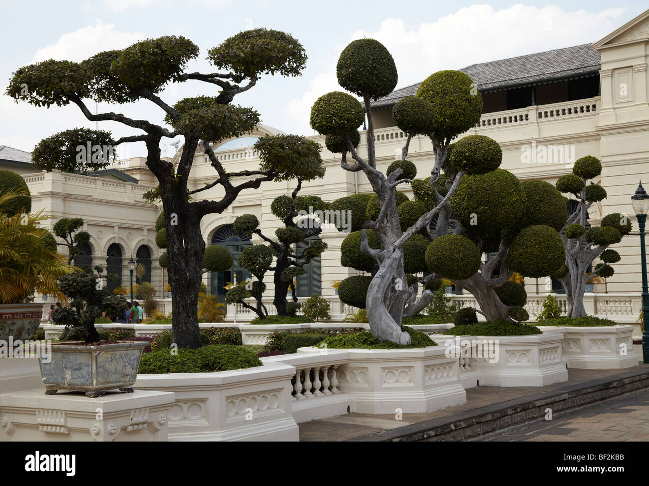 Ornamental trees (topiary) at the Grand Palace in Bangkok, Thailand Stock Photo