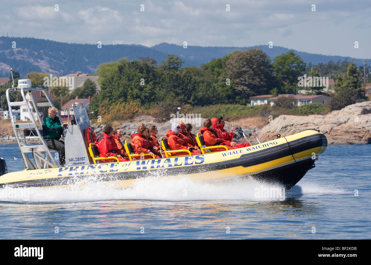 People enjoying Ride with Inflatable Boat Victoria, Vancouver Island