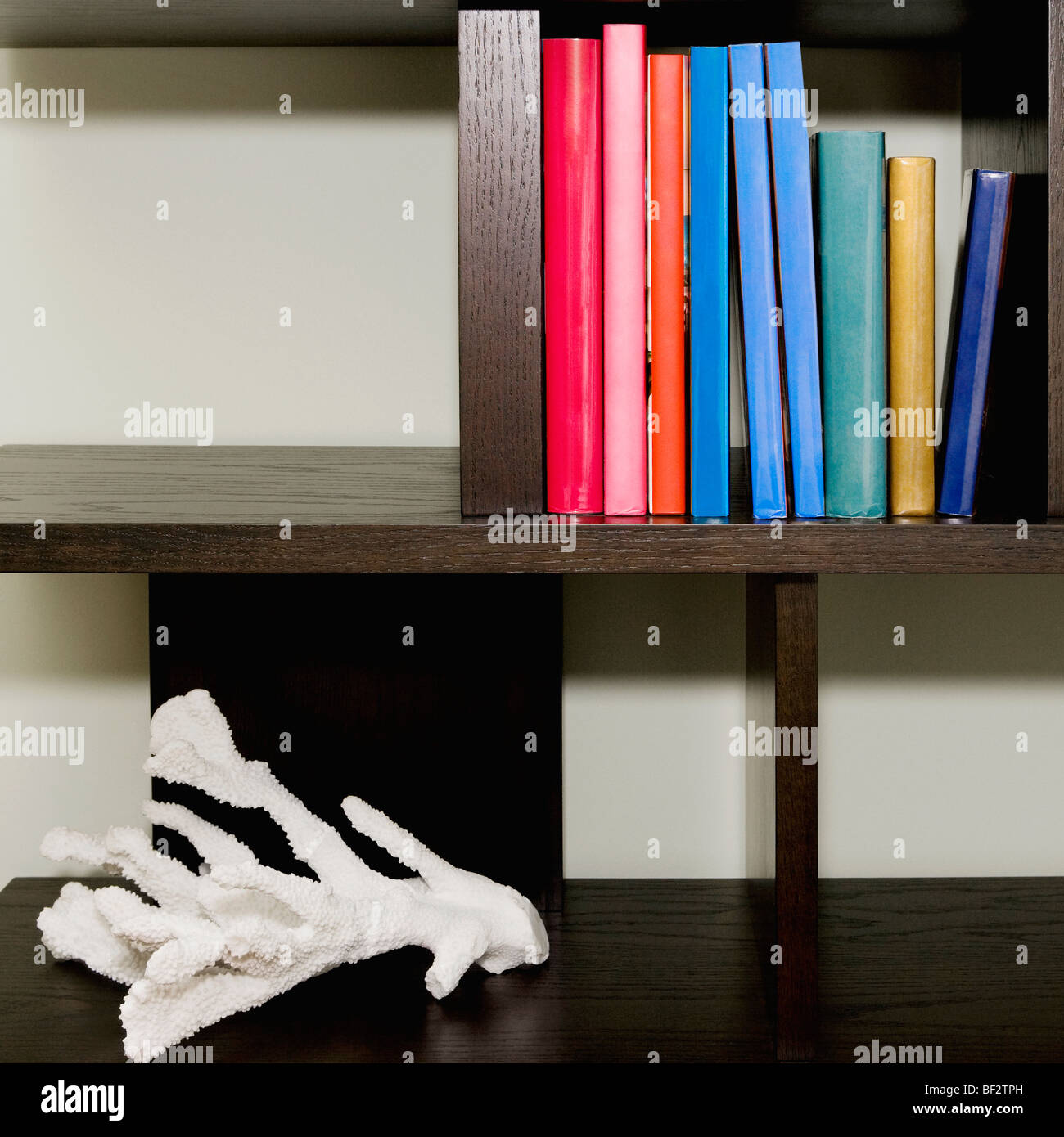 Timber shelf hires stock photography and images Alamy