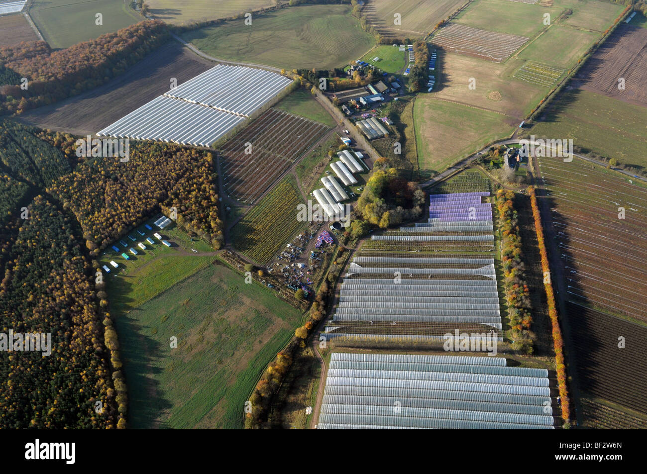 Aerial view of polytunnels on a fruit farm in Perthshire Stock Photo