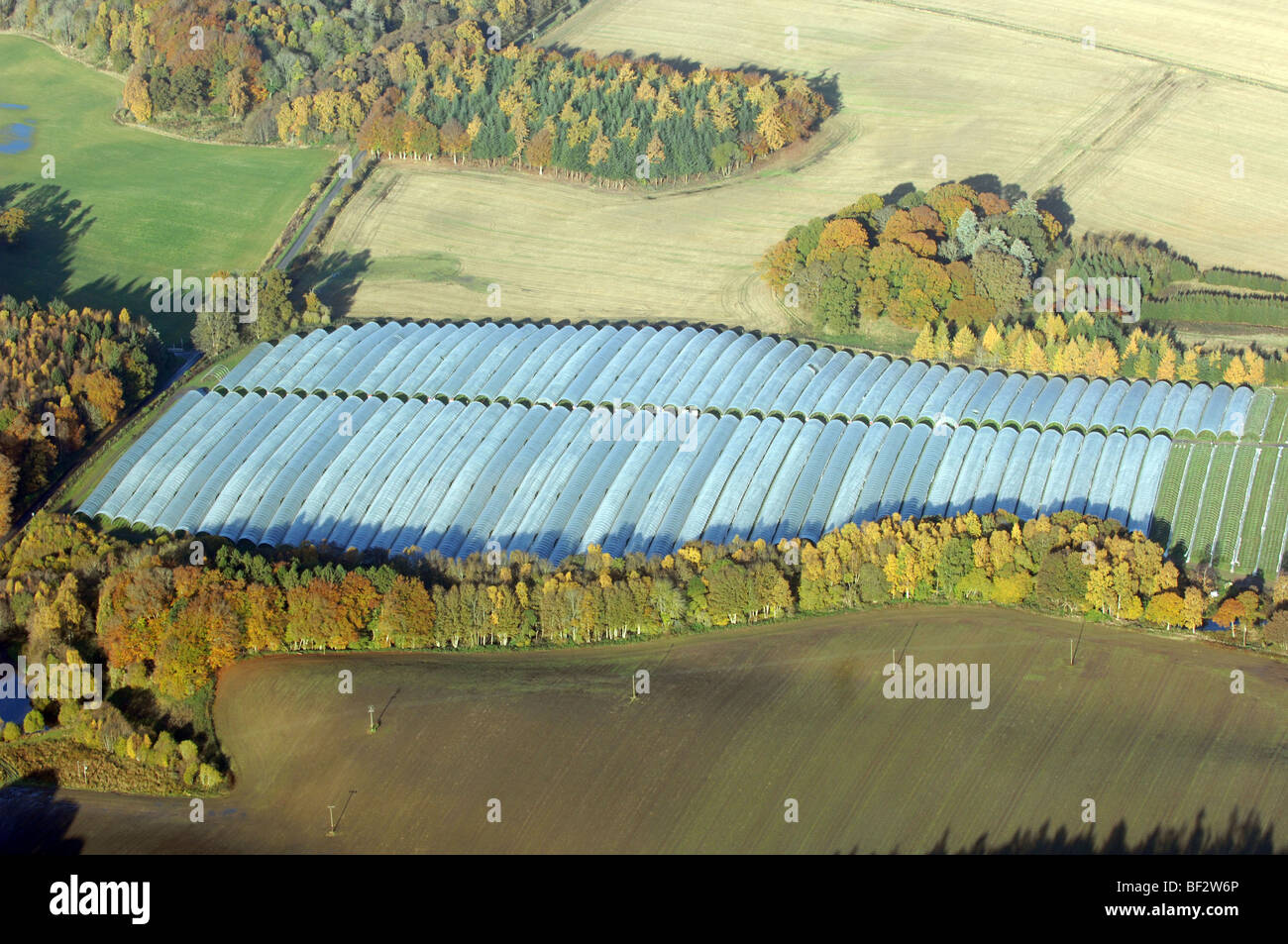Aerial view of polytunnels on a fruit farm in Perthshire Stock Photo