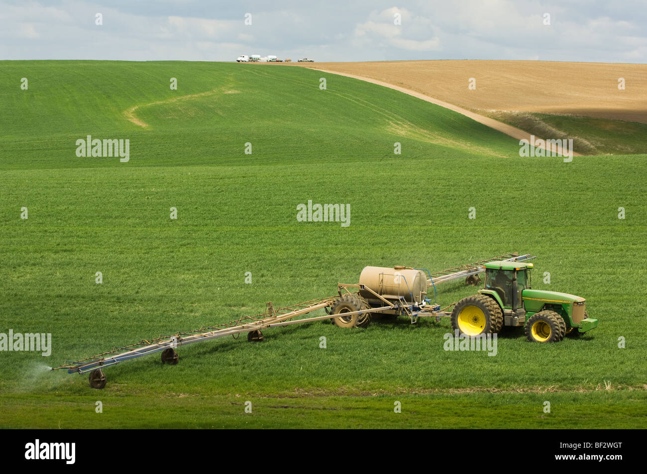 Ground application of herbicide for weed control on a field of early growth winter wheat /  Palouse Region, Washington, USA. Stock Photo