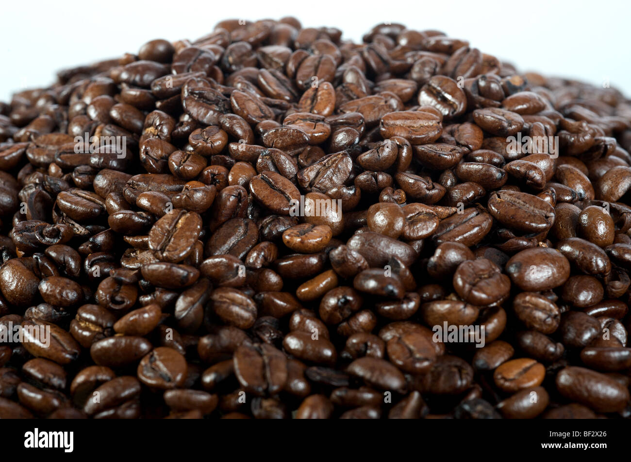 Roasted coffee beans (Guatemala Elephant Stock Photo - Alamy