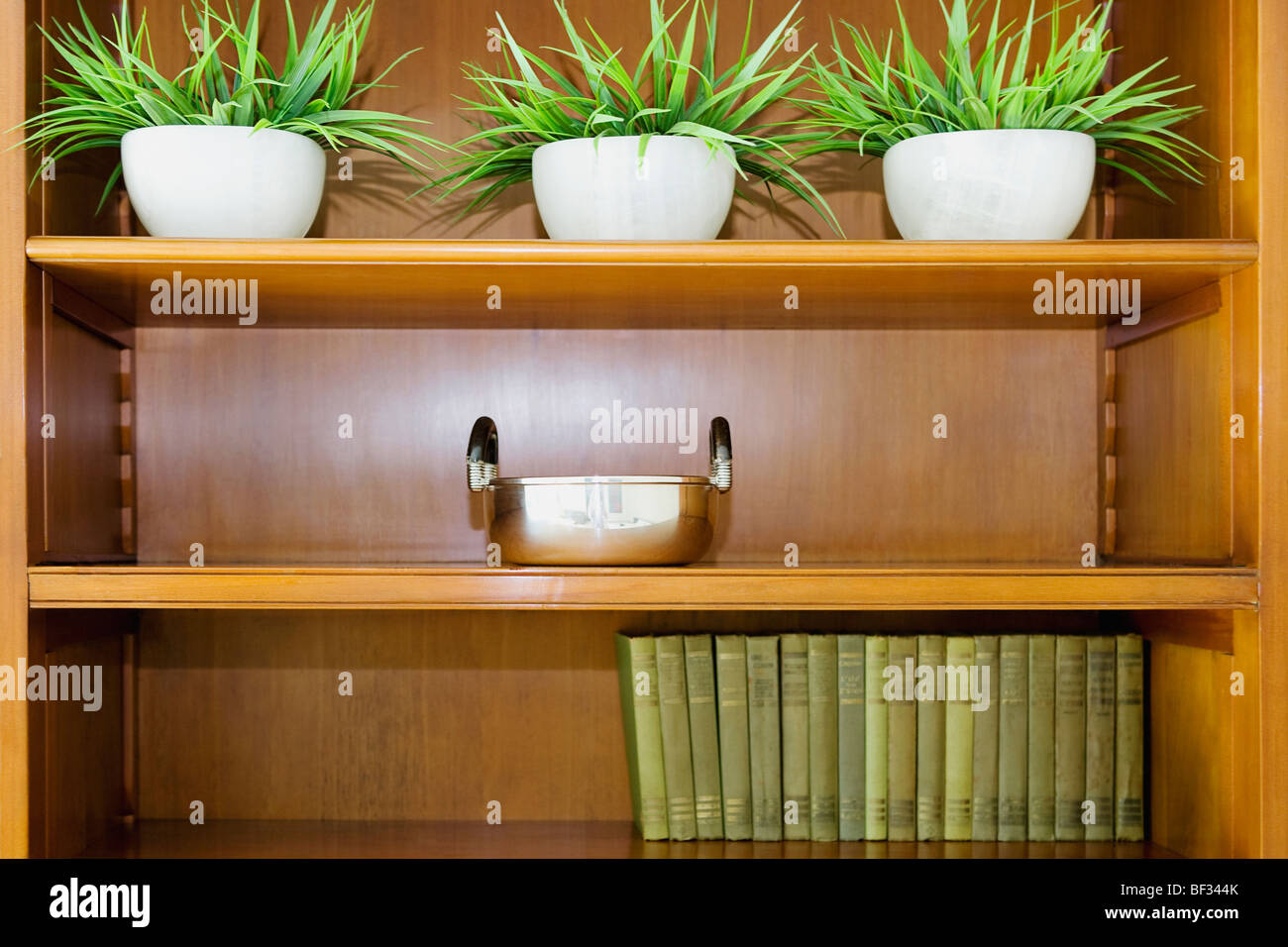 Timber shelf hi-res stock photography and images - Alamy