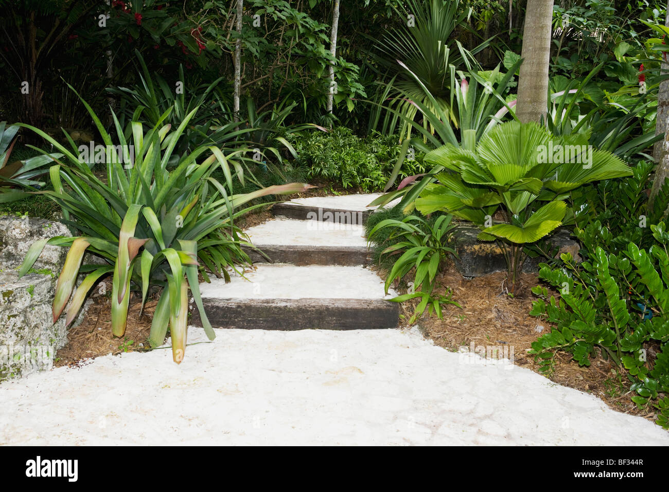 Path in a garden Stock Photo