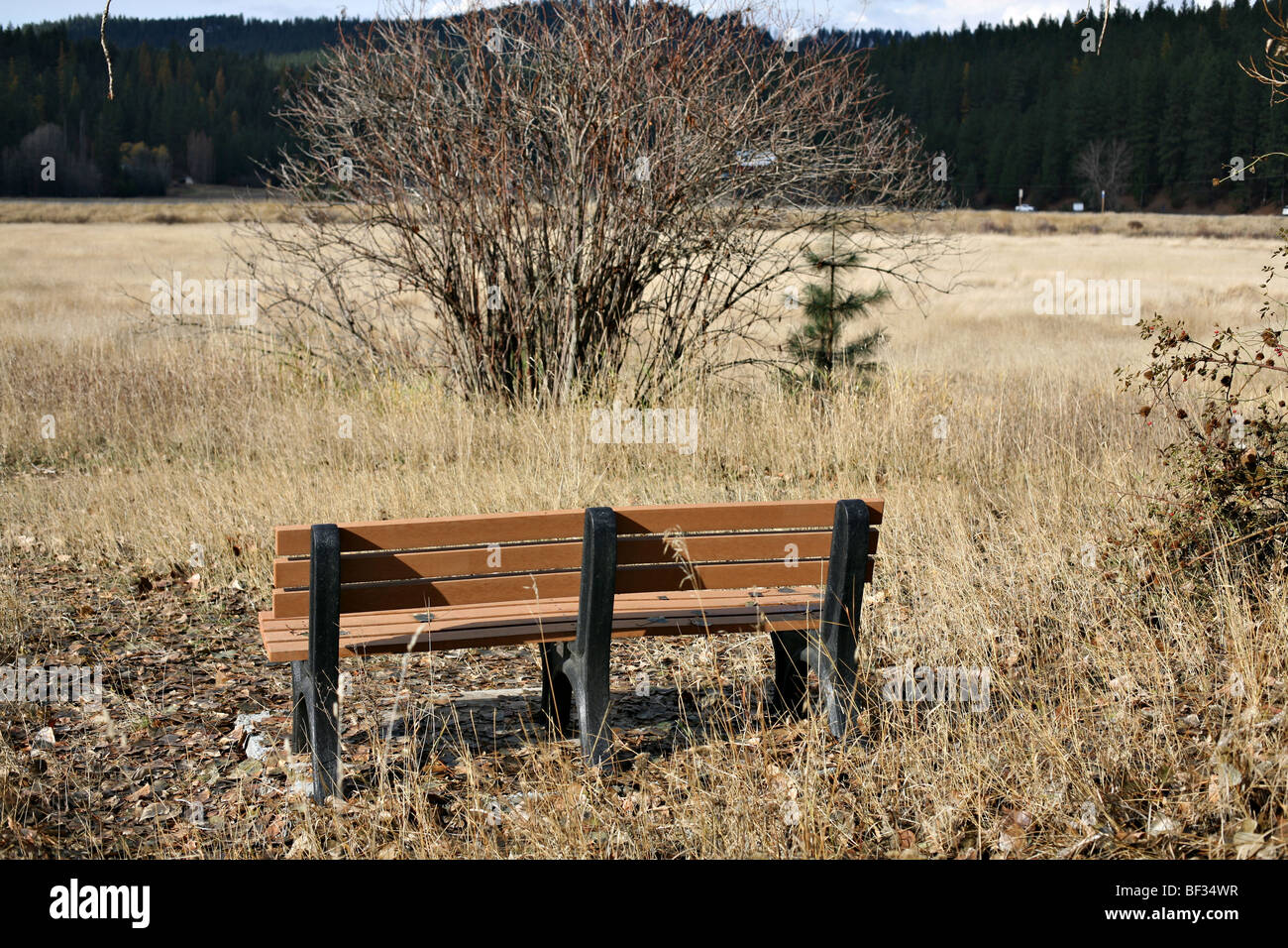 Bench At Cougar Bay Preserve Near Coeur D Alene Idaho Stock