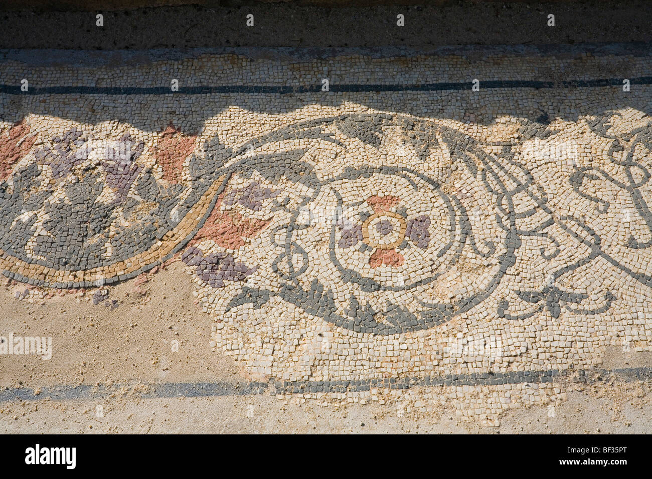 Spain,  Burgos, Castilla y Leon, Clunia - House, Mosaic Floor Stock Photo