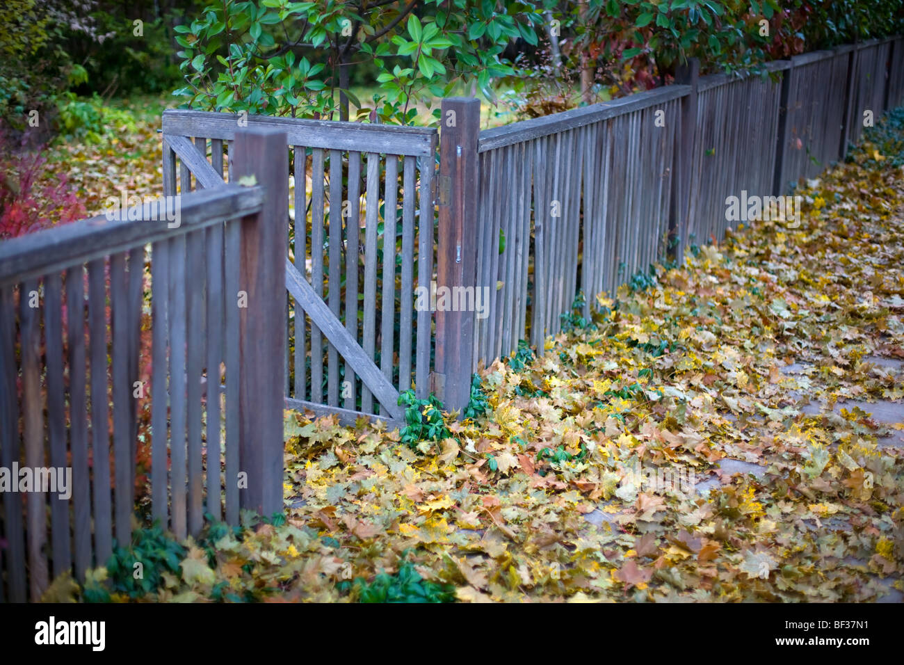 Colorful gate hi-res stock photography and images - Alamy