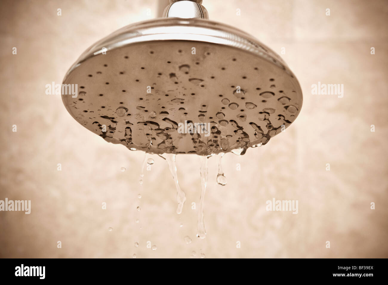 Closeup of a shower head with dripping water Stock Photo Alamy