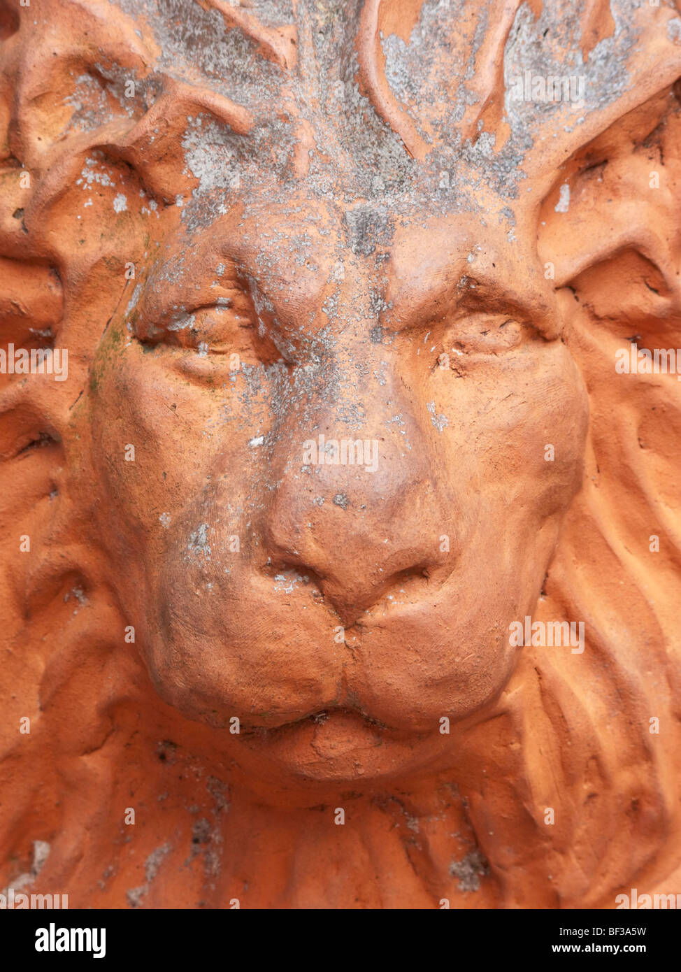 Stone carved lion found in Carlisle, Cumbria Stock Photo