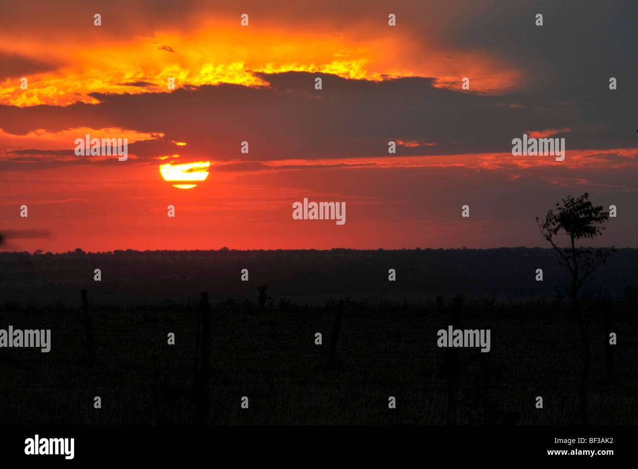 Sunset near farmlands, Mato Grosso do Sul, Brazil Stock Photo