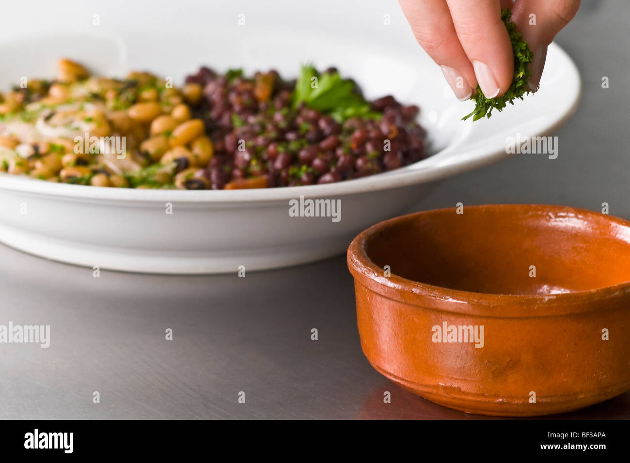 Cilantro Sprinkle Cilantro sprout hi-res stock photography and images - Alamy