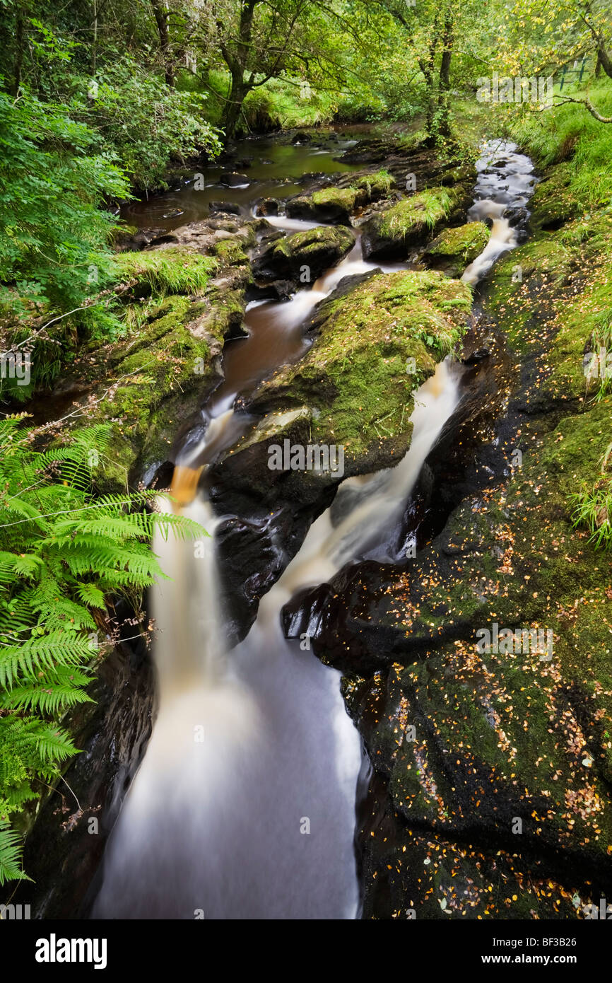 The rushing waters of Burntollet River in Ness County Park, Londonderry, Northern Ireland Stock Photo