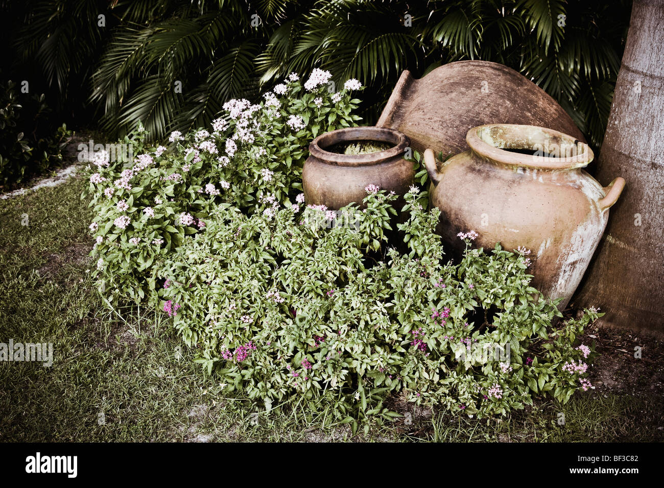 Pots in a lawn Stock Photo