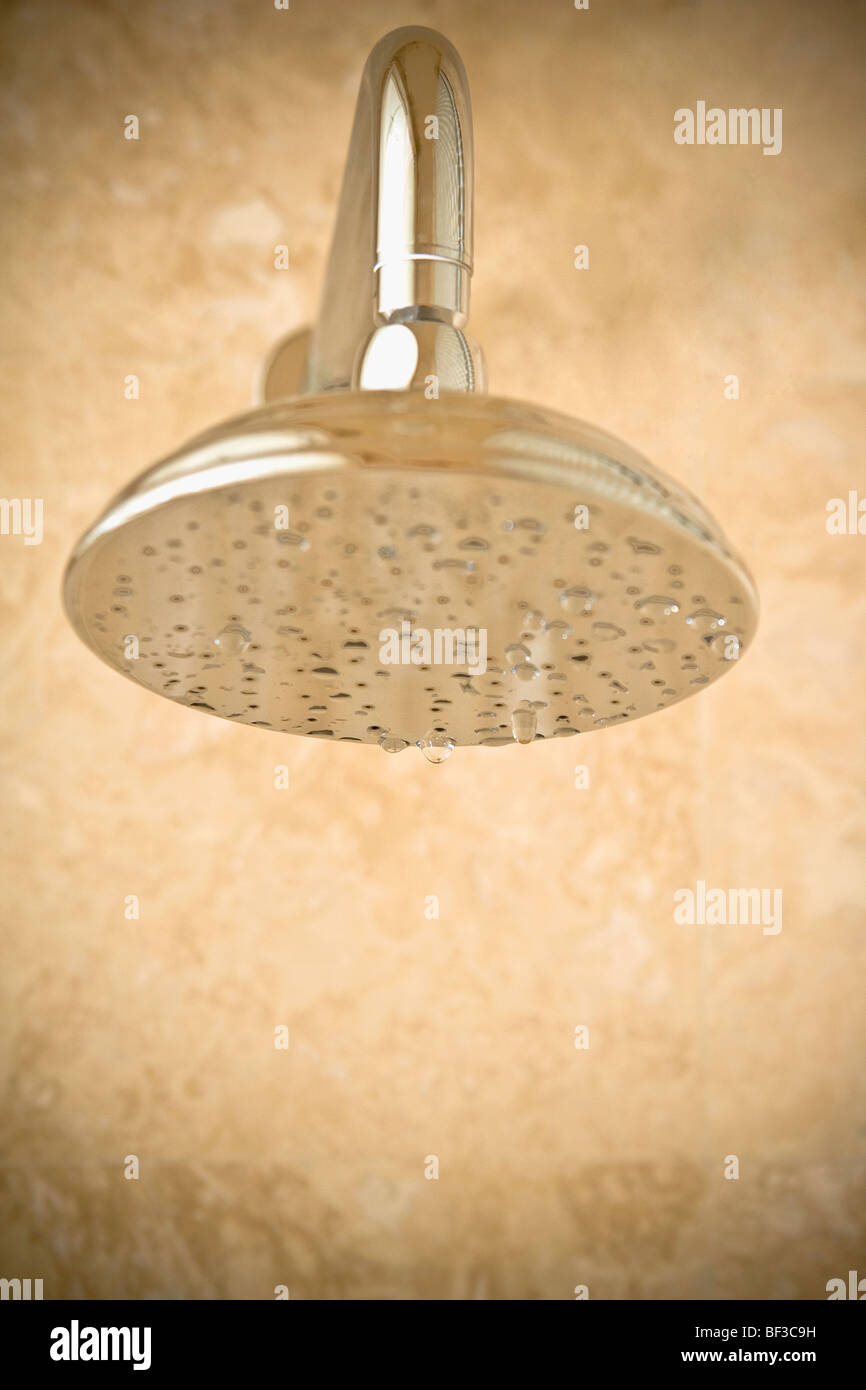 Detail of a shower head hires stock photography and images Alamy
