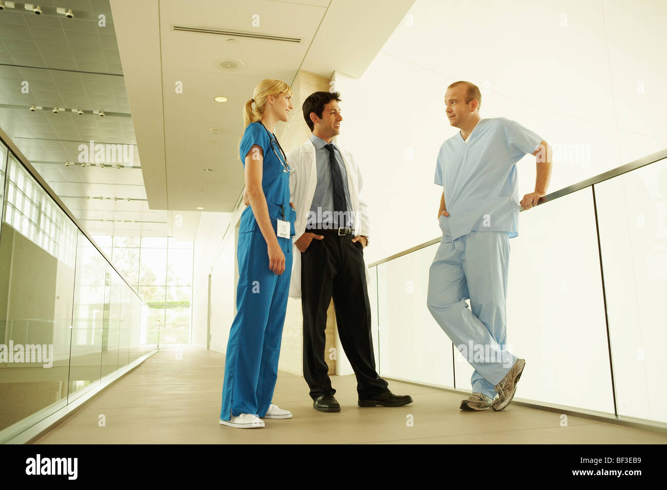 Medical personnel in modern facility Stock Photo