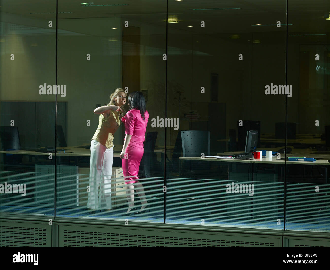 Two women arguing in an office Stock Photo