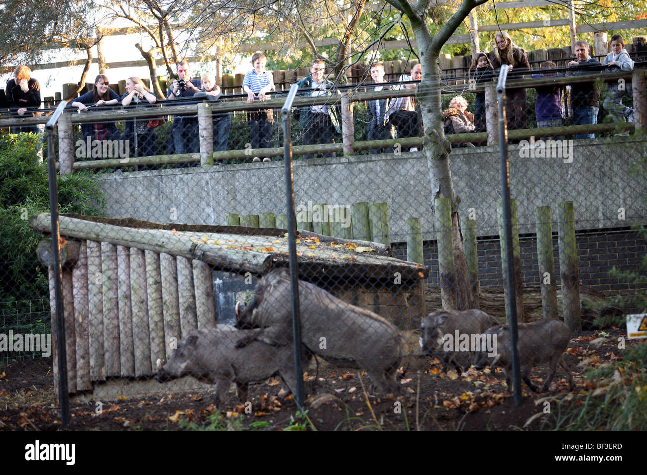 London regents canal zoo hi-res stock photography and images - Alamy