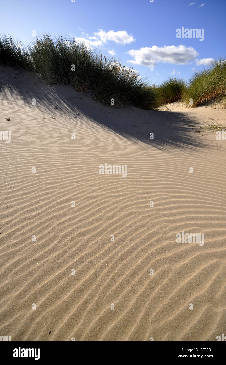 Sand dunes Talacre beach Point Of Ayr North Wales uk Stock Photo