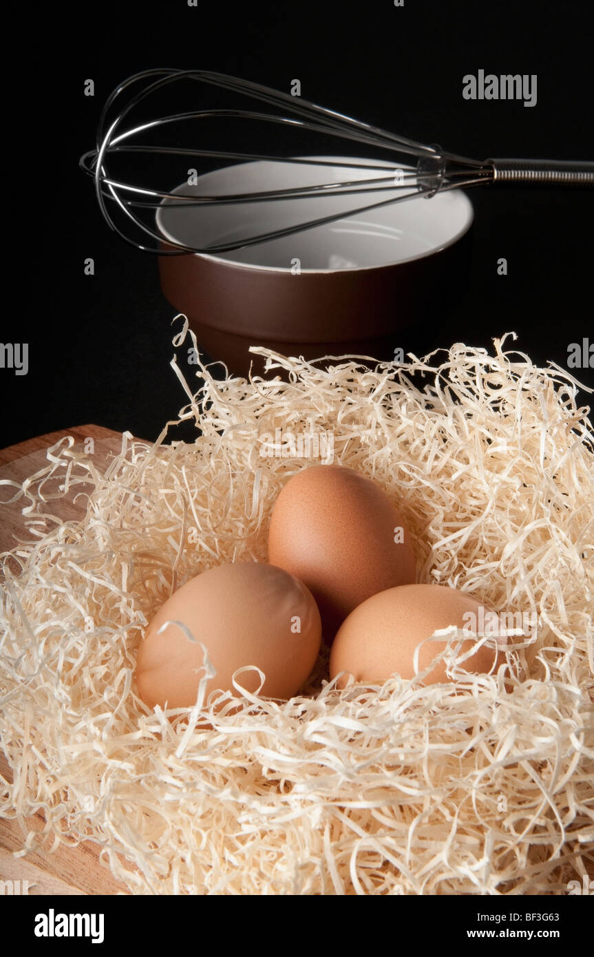 Close-up of brown eggs in a nest Stock Photo - Alamy