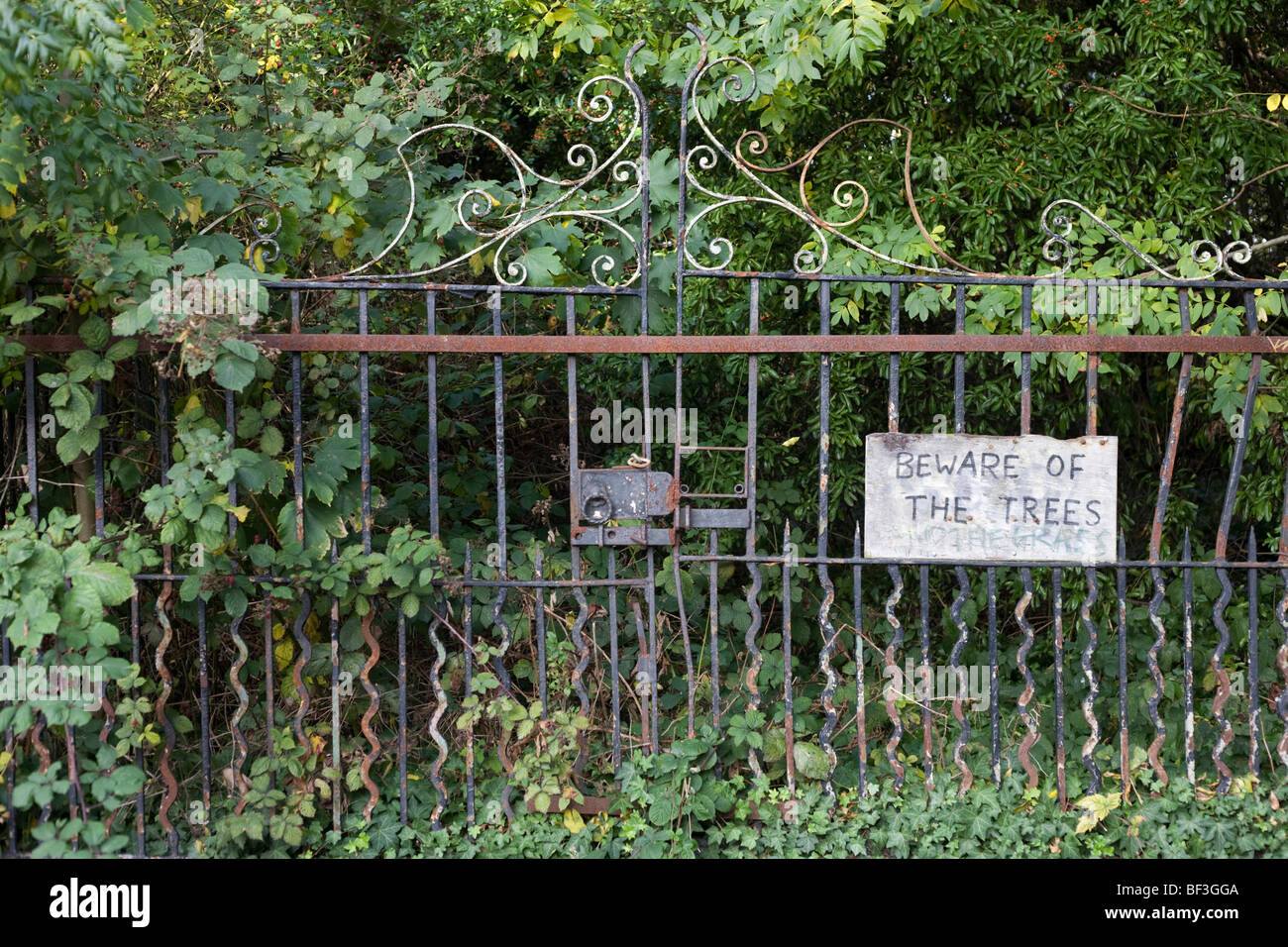 An incongruously ironic statement is written on rusting wrought-iron gates alerting people to the danger of London trees. Stock Photo