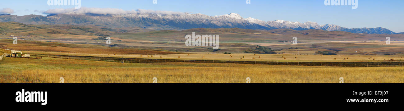 Livestock - Pasture lands and farm fields where the prairies meet the Canadian Rockies / Alberta, Canada. Stock Photo