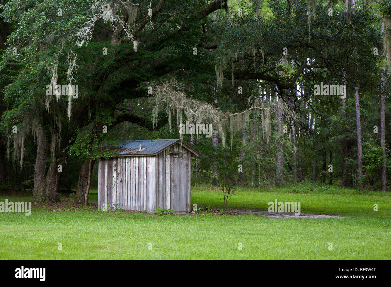 Friendship Florida - July 2008 - Old wooden shed with tin roof under big live oak tree with Spanish moss Stock Photo