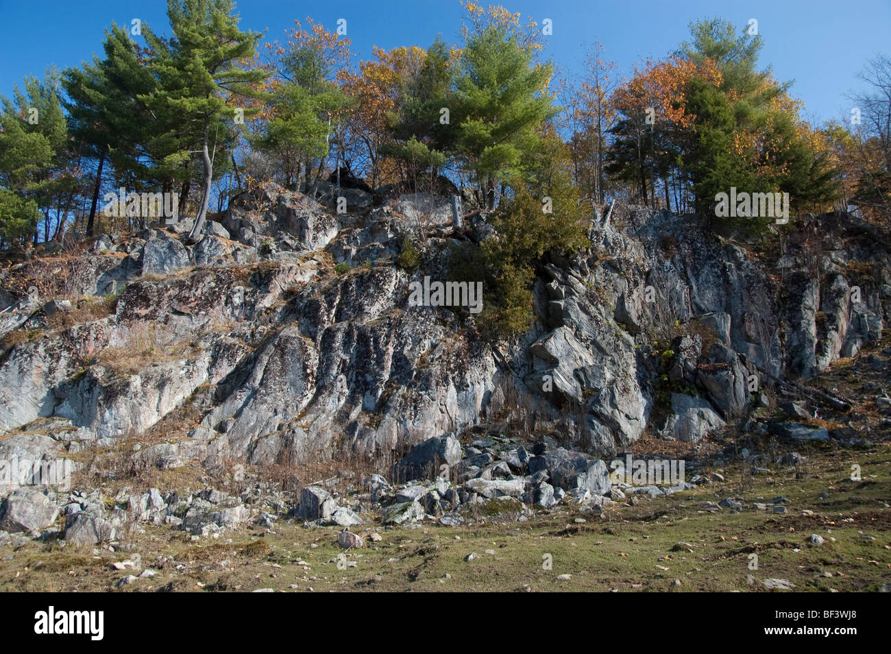 A view of a cliff at Omega Park in autumn. Stock Photo