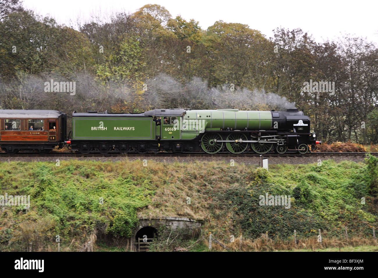 Newly built steam locomotive, Tornado, near Bridgnorth on the Severn Valley Railway 2009 Stock Photo