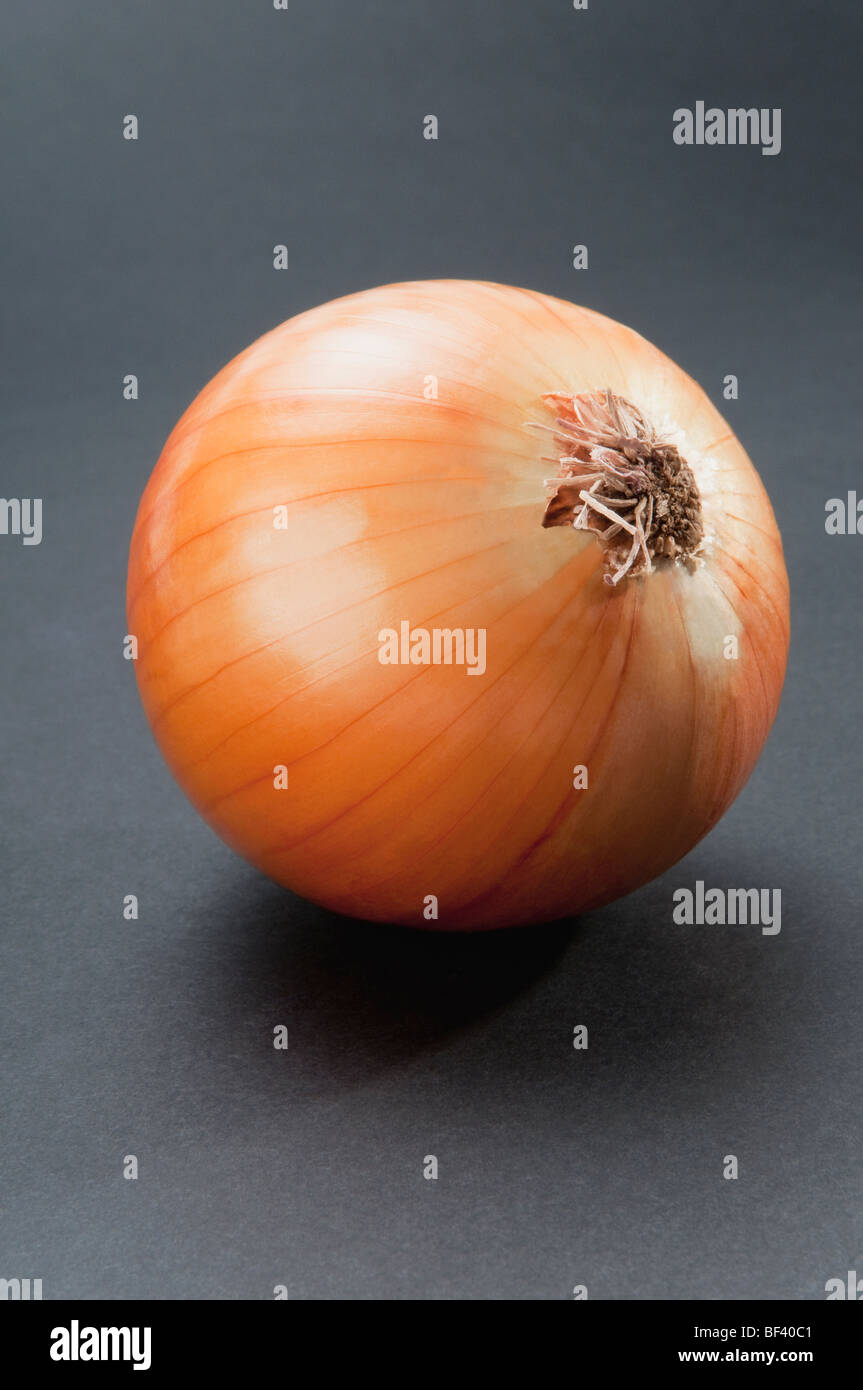 Onion drink hi-res stock photography and images - Alamy