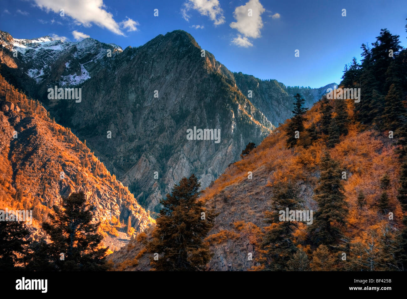Autumn colours in the Wasatch Mountains of northern Utah showing Storm Mountain and Twin Peaks Stock Photo