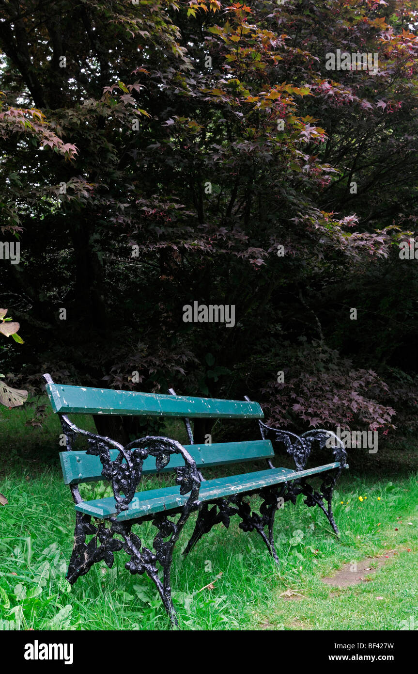 empty wooden park bench green colored coloured Stock Photo
