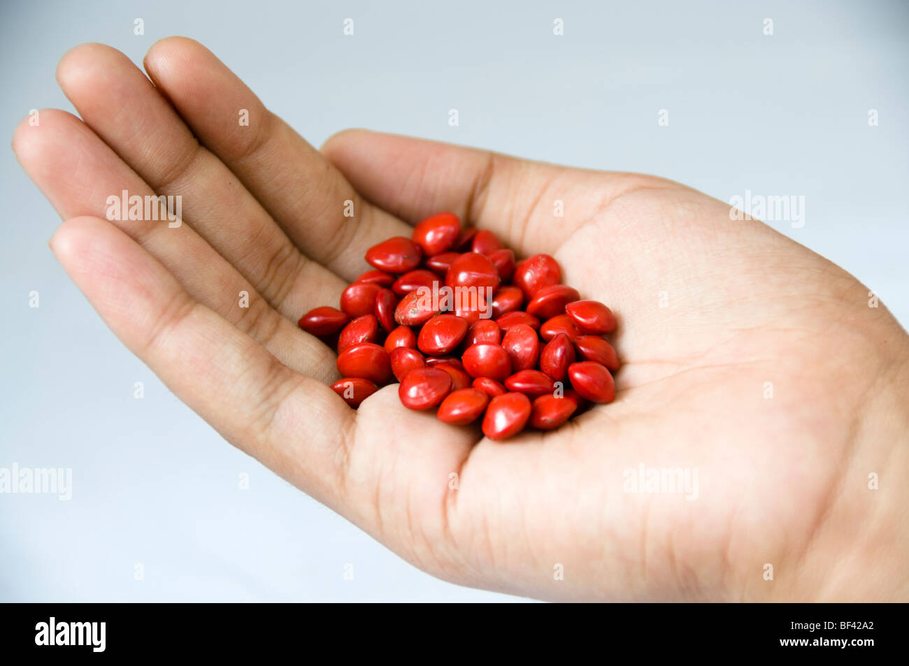 Circassian seeds Stock Photo